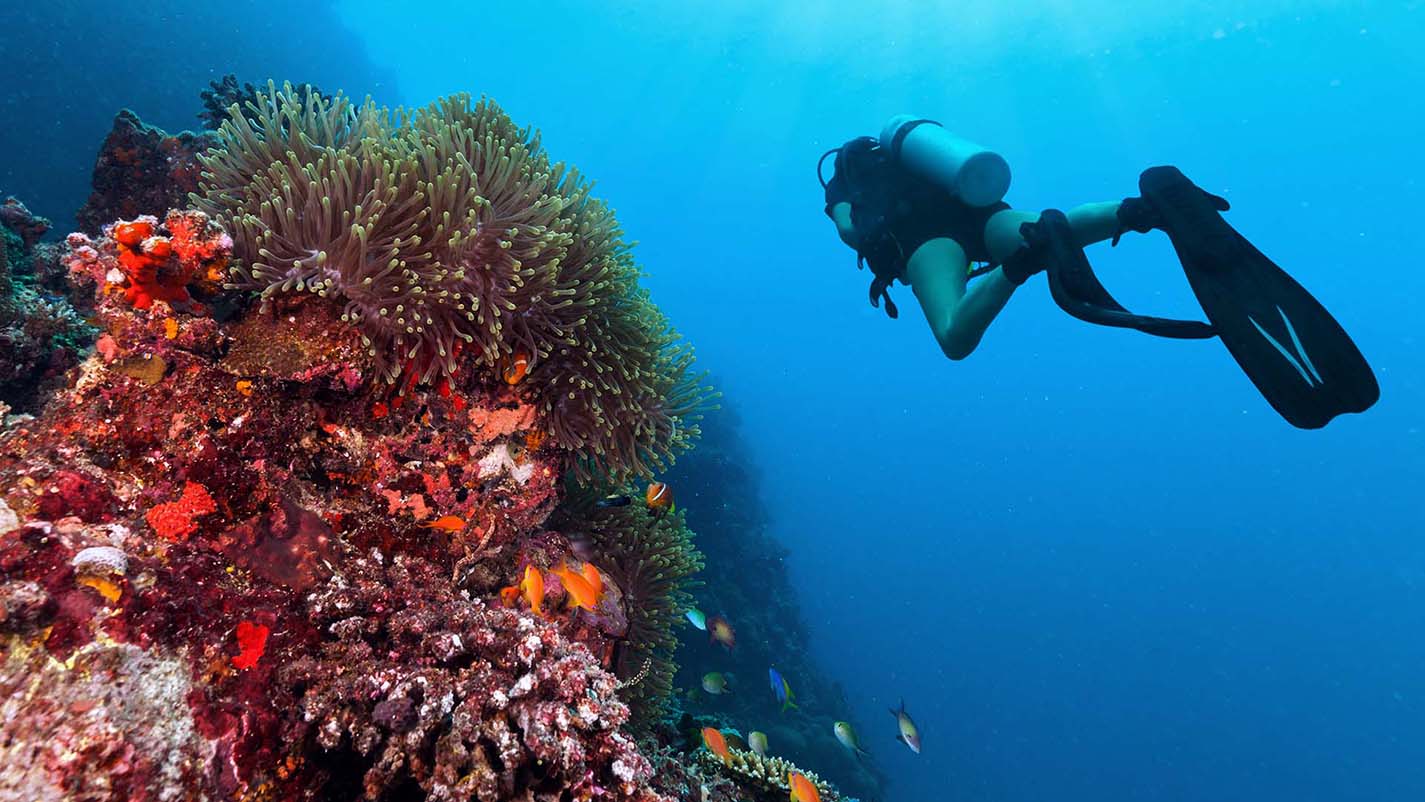 Island Culture: Discovering Local Traditions and Heritage in the Maldives